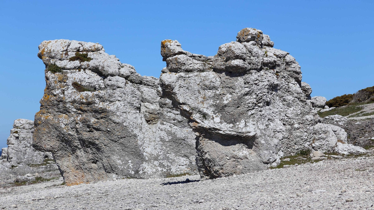 Grå kalkstensraukar på en klapperstensstrand vid Langhammars på Fårö mot blå himmel