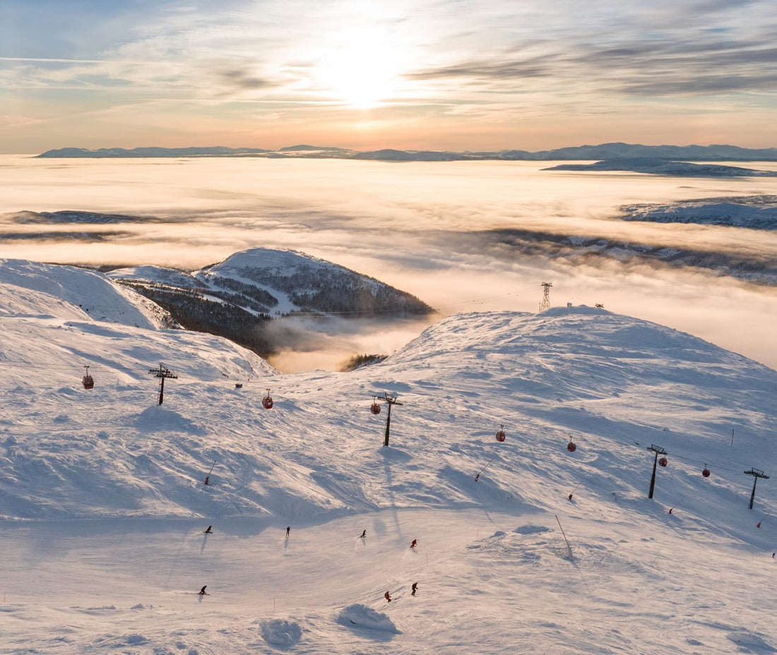 Åre - berget, terrängen och tavlan